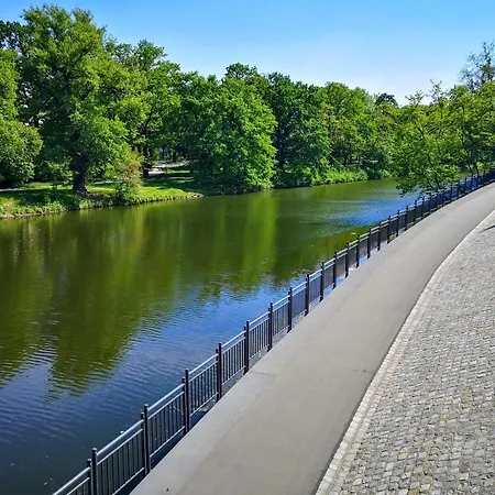 Kandela Studio Apartament *